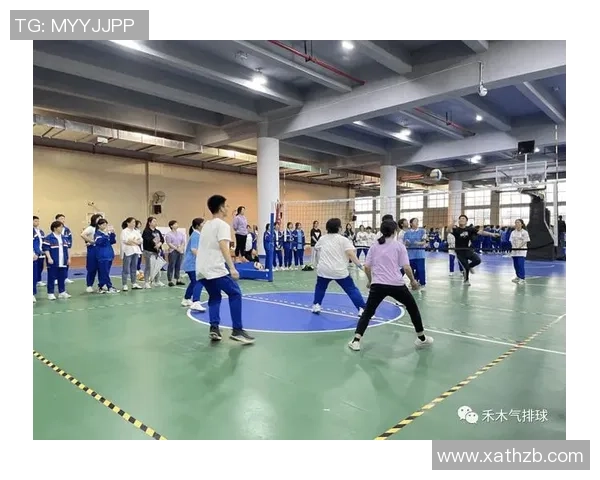 上海排球队战术表现深度分析与数据解读探讨